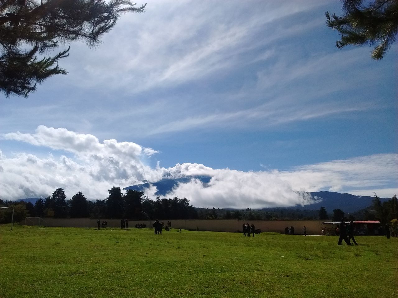 grass, sky, field, landscape, tree, cloud - sky, animal themes, grassy, horse, green color, tranquil scene, domestic animals, cloud, nature, tranquility, beauty in nature, scenics, cloudy, grazing, livestock