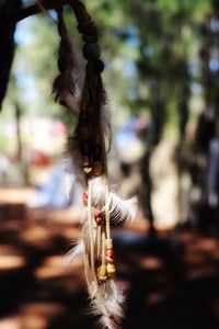 Close-up of feather hanging on rope