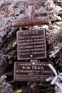 Close-up of text on rock at cemetery