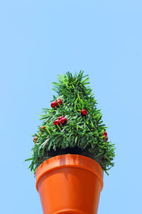 Low angle view of red flower tree against clear sky