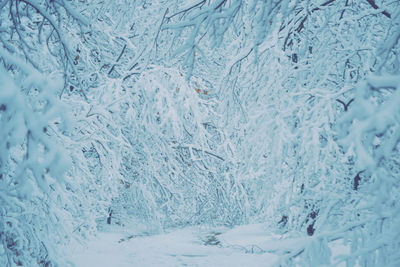 Full frame shot of snow