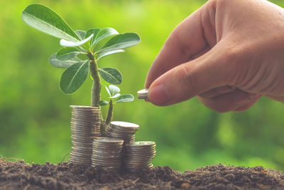 Close-up of person stacking coins on field