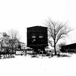 Bare trees with buildings in background