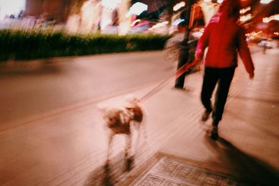 Rear view of people walking outdoors