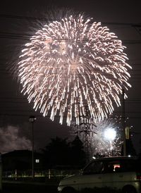 Low angle view of firework display at night