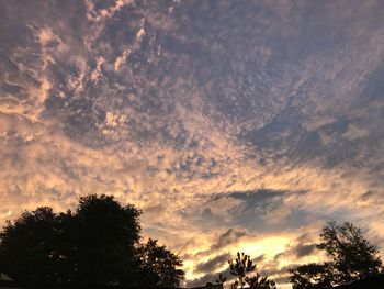 Low angle view of silhouette trees against sky during sunset