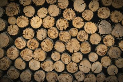 Full frame shot of logs