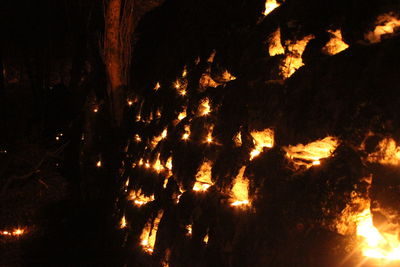 Close-up of fire at night