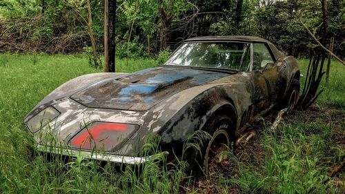 Abandoned car in park