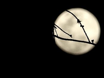 Close-up of moon against black background