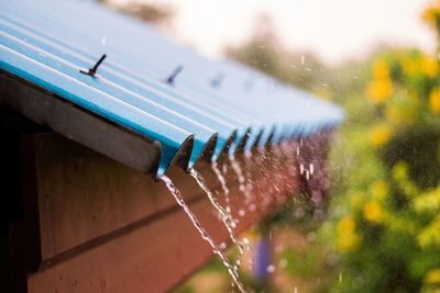 Close-up of water drops on wood