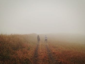 Scenic view of landscape in foggy weather