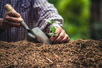 Man working on plant