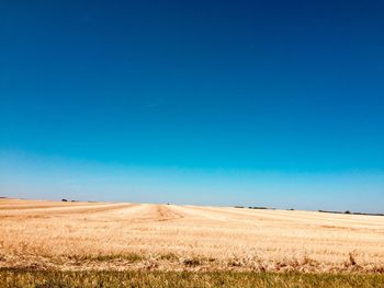 Scenic view of field against clear blue sky