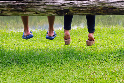 Low section of people standing on grass