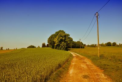 Scenic view of agricultural field against clear sky