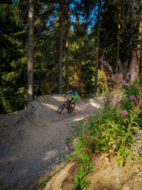 People riding bicycle in forest