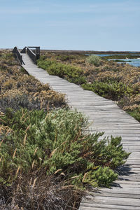 Footpath by sea against sky