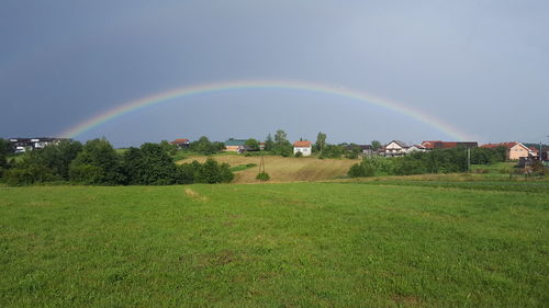 Rainbow over grassy field against clear sky