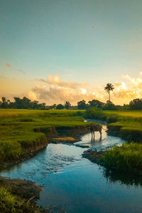 Scenic view of lake against sky during sunset