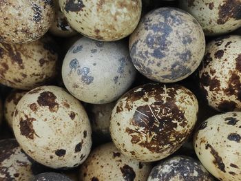 Full frame shot of pumpkins for sale at market