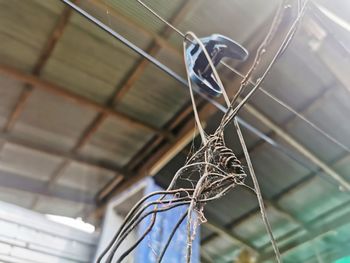 Low angle view of metal tied hanging on wall