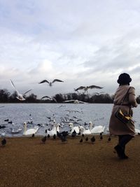 Seagull flying over water