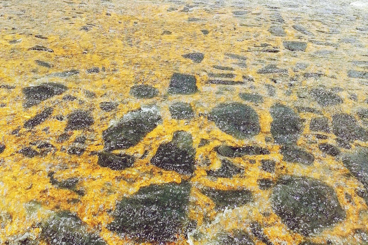 HIGH ANGLE VIEW OF FOOTPRINT ON SAND