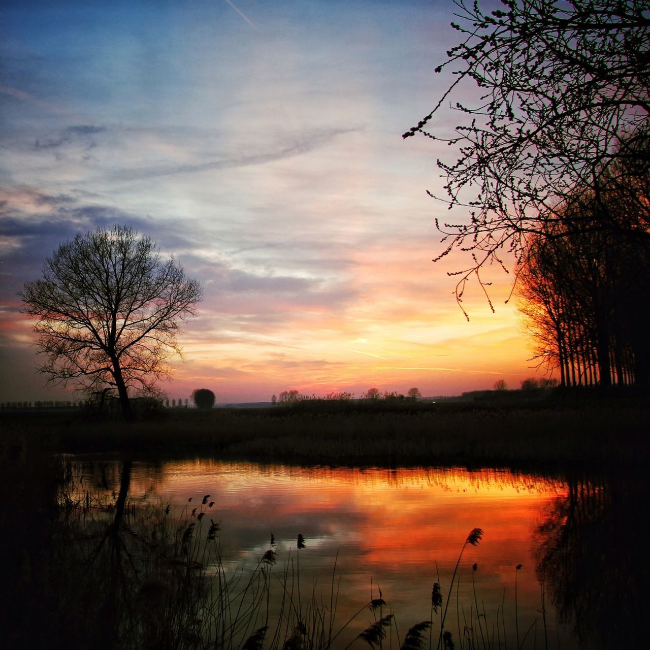 sunset, silhouette, tranquil scene, tranquility, scenics, reflection, lake, water, beauty in nature, sky, tree, nature, idyllic, cloud - sky, orange color, cloud, majestic, bare tree, calm, outdoors