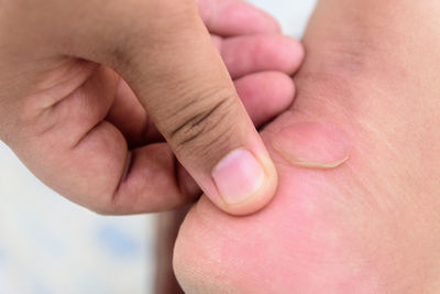 Close-up of baby hand