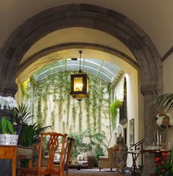 Potted plants in building