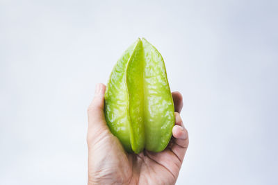 Cropped image of person holding leaf against white background