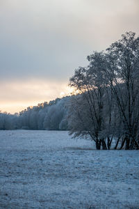 Snow covered land and trees against sky during sunset