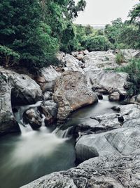 Stream flowing through rocks in forest