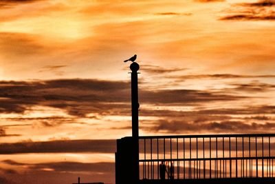 Silhouette bird perching on pole against orange sky