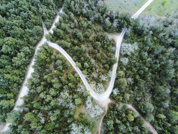 High angle view of waterfall in forest