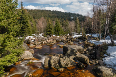 Scenic view of river stream in forest against sky