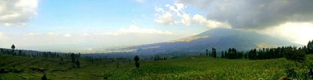 Scenic view of landscape against cloudy sky