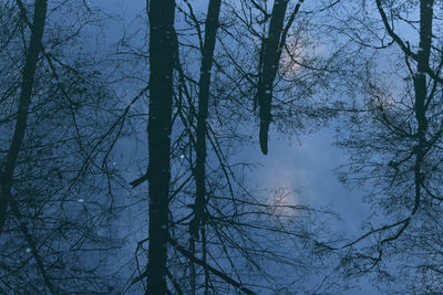 Low angle view of bare trees against sky