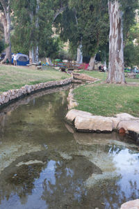 Scenic view of lake in park