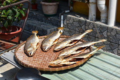 High angle view of fish on statue by building