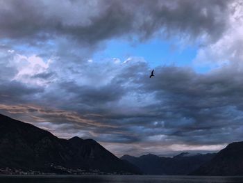 Low angle view of birds flying in sky