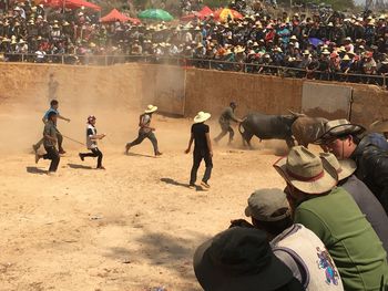 Men running behind bull during event