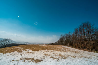 Snow covered land and trees against sky