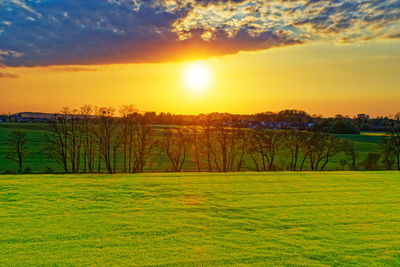 Scenic view of grassy field against sky during sunset