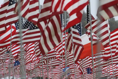 Full frame shot of american flags