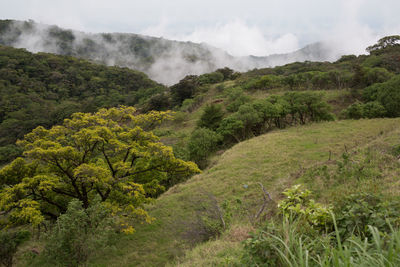 Scenic view of landscape