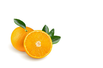 Close-up of orange fruit against white background