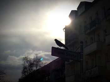 Low angle view of information sign in city