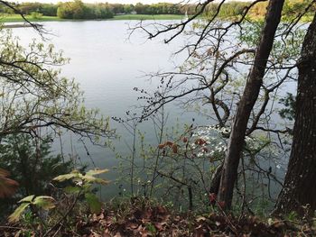 Scenic view of calm lake